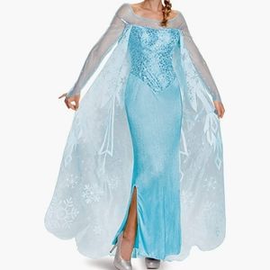 Disney Frozen Adult Elsa Costume Dress & Wig